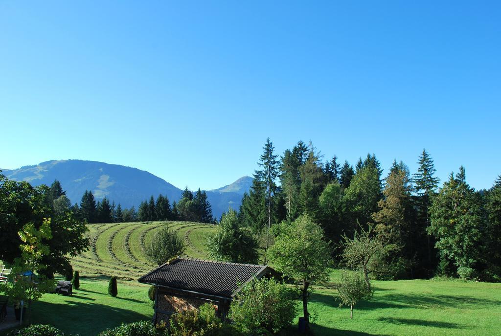 Berggasthof Baernstatt Scheffau am Wilden Kaiser Bagian luar foto